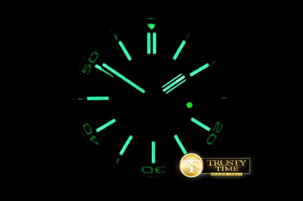 AP0525 - Royal Oak Diver - immagine 21