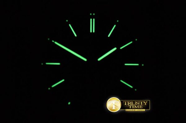 AP0562 - Royal Oak - immagine 18