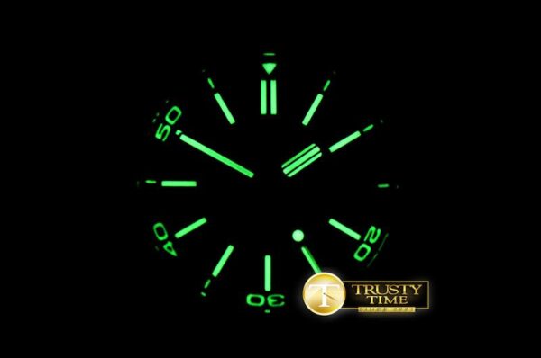 AP0566 - Royal Oak Offshore Diver - immagine 19