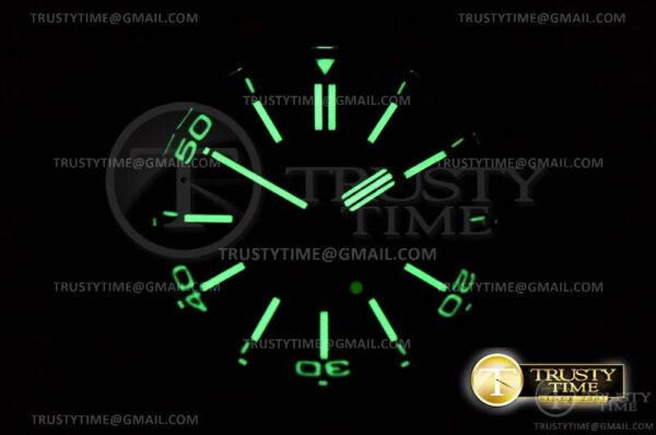AP0610 - Royal Oak Diver - immagine 28
