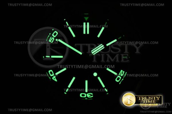 AP0612 - Royal Oak Diver - immagine 30