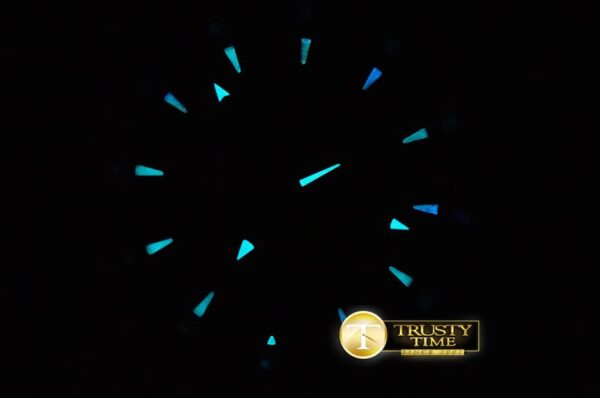 OMG0472D - Aqua Terra - immagine 15