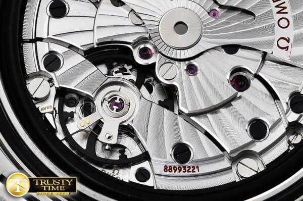 OMG0576A - Aqua Terra 150m - immagine 20