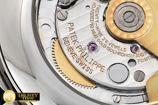 PP0263C - Complication - immagine 12
