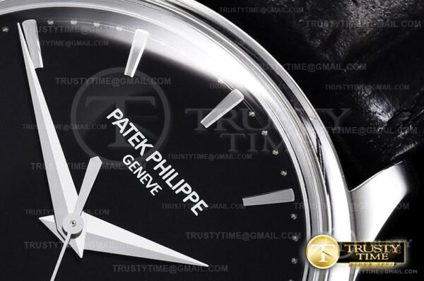PP0321B - Calatrava - immagine 6