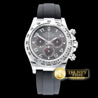 ROLDYT0263E - Daytona
